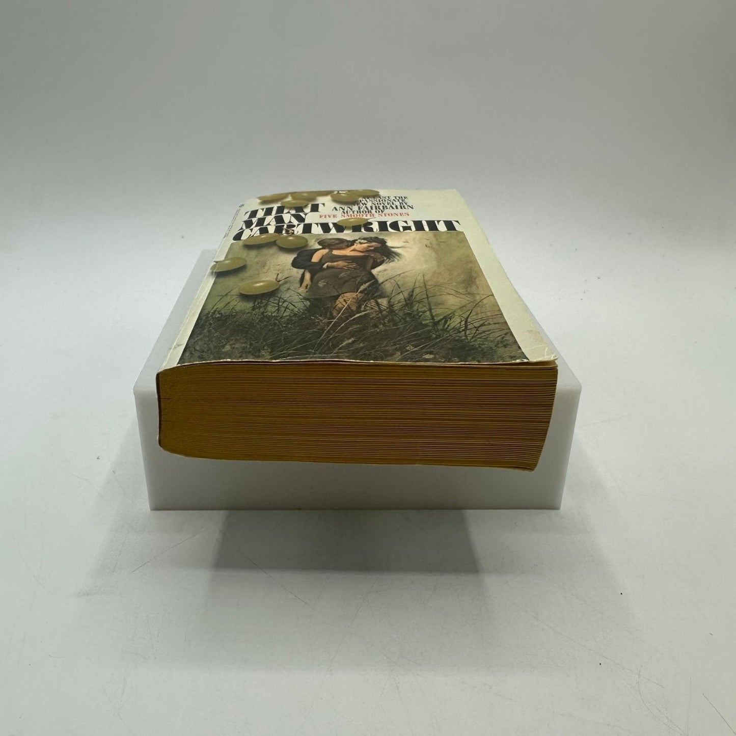 That Man Cartwright Ann Fairbairn Novel Social Justice Faith Hope Compassion