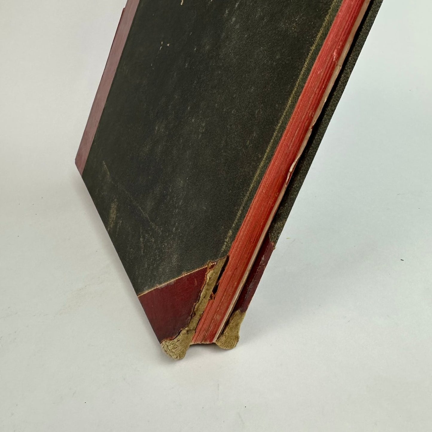 The Dream City World's Columbian Exposition 1893 Halsey C. Ives Photo Portfolio
