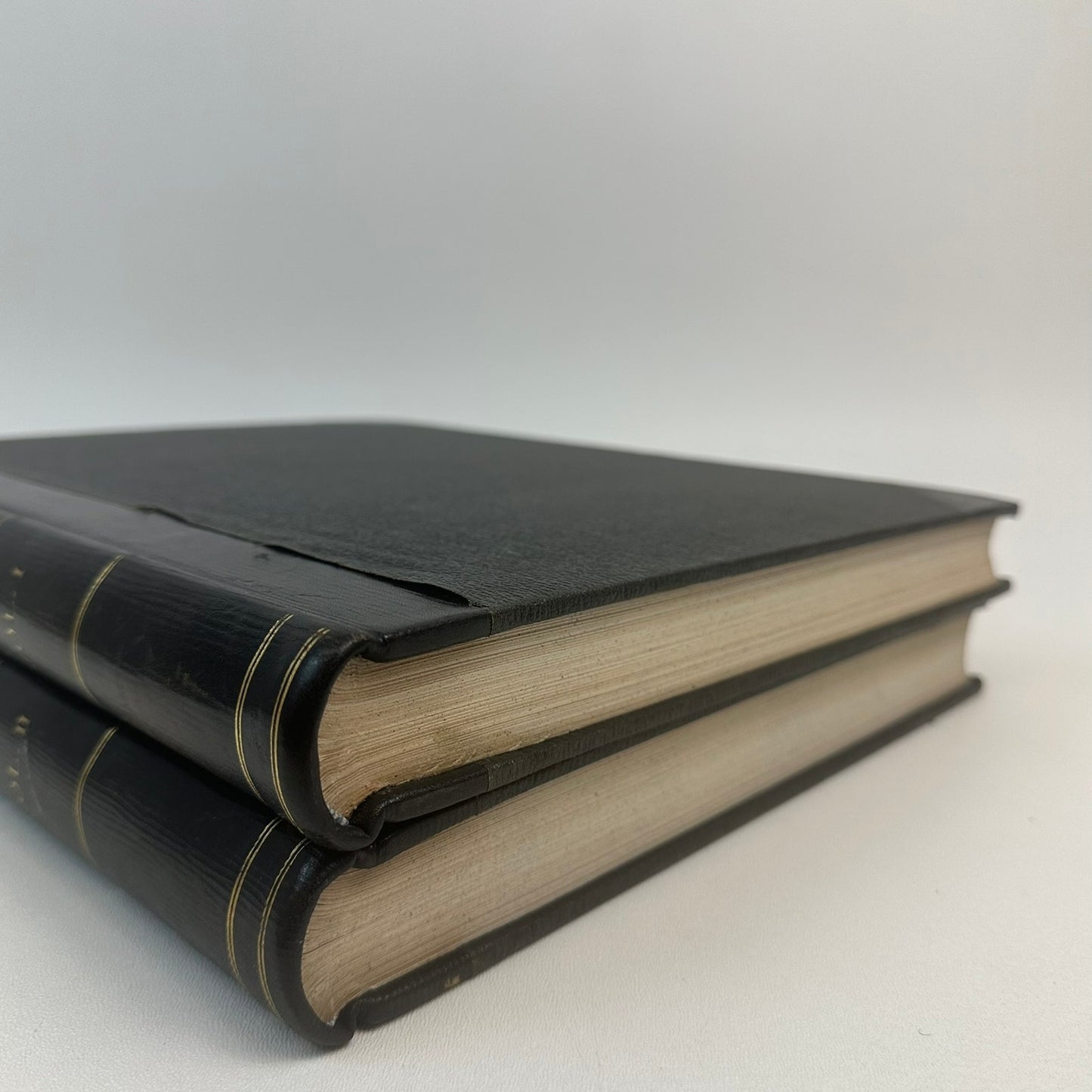 The Masterpieces of European Art Volumes 1 and 2 History Culture Painting