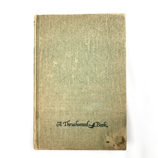 The Wind in the Willows Kenneth Grahame Childrens Classic Fantasy Animals 1913