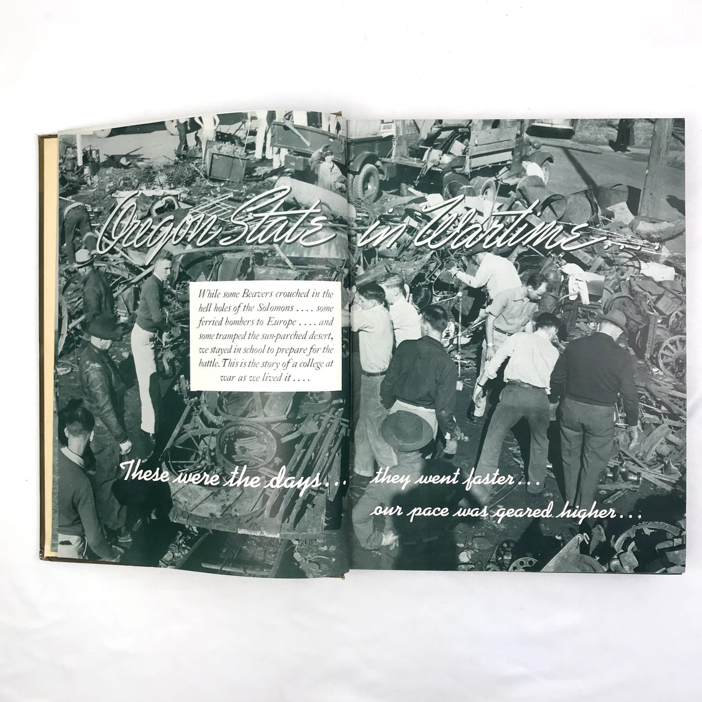 The Beaver Hardcover Oregon State College Yearbook Corvallis, Oregon 1943