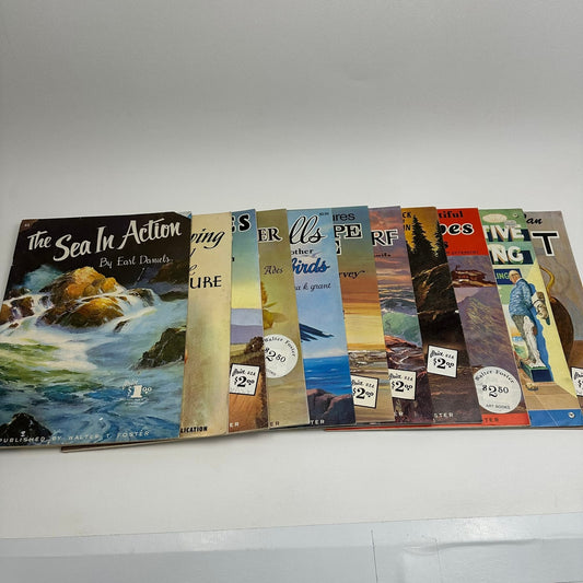 Walter T Foster Instructional Arts and Photography Artistic Guides Lot of 11
