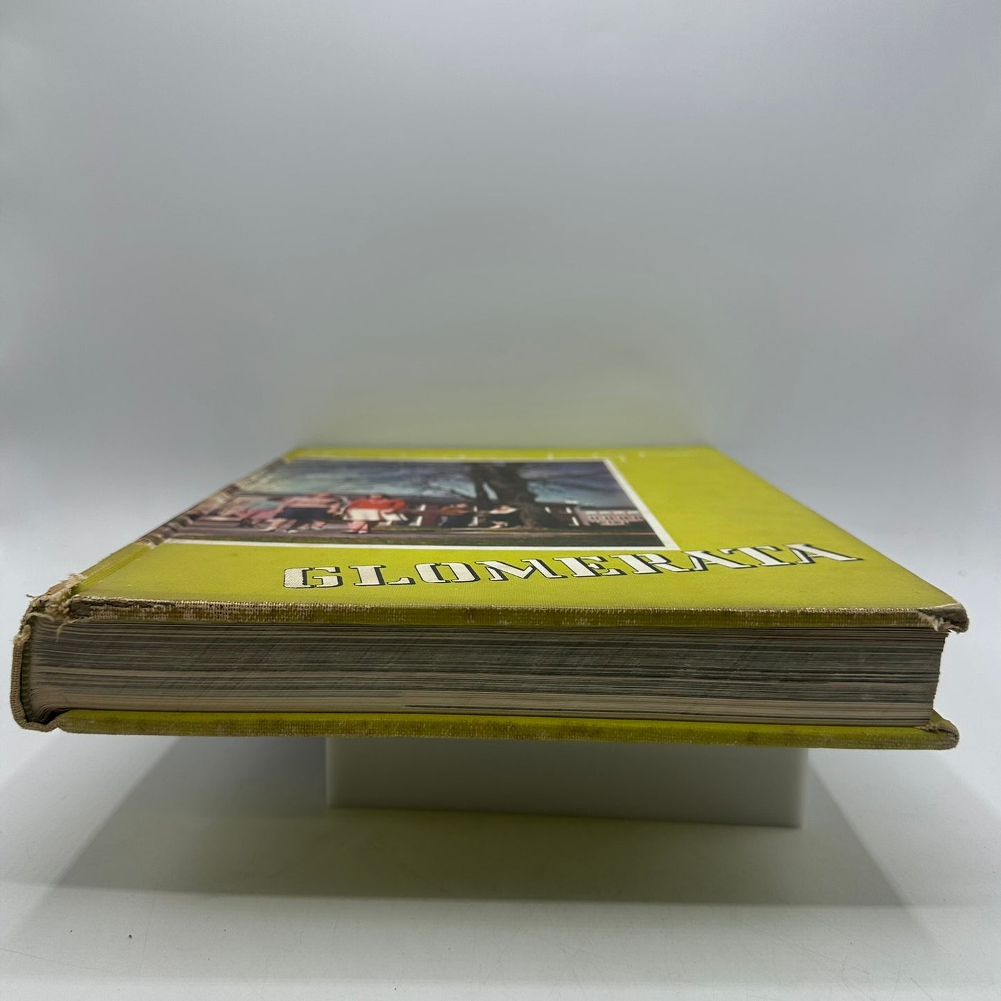 Glomerata 1942 Alabama Polytechnic Institute Auburn University Yearbook History