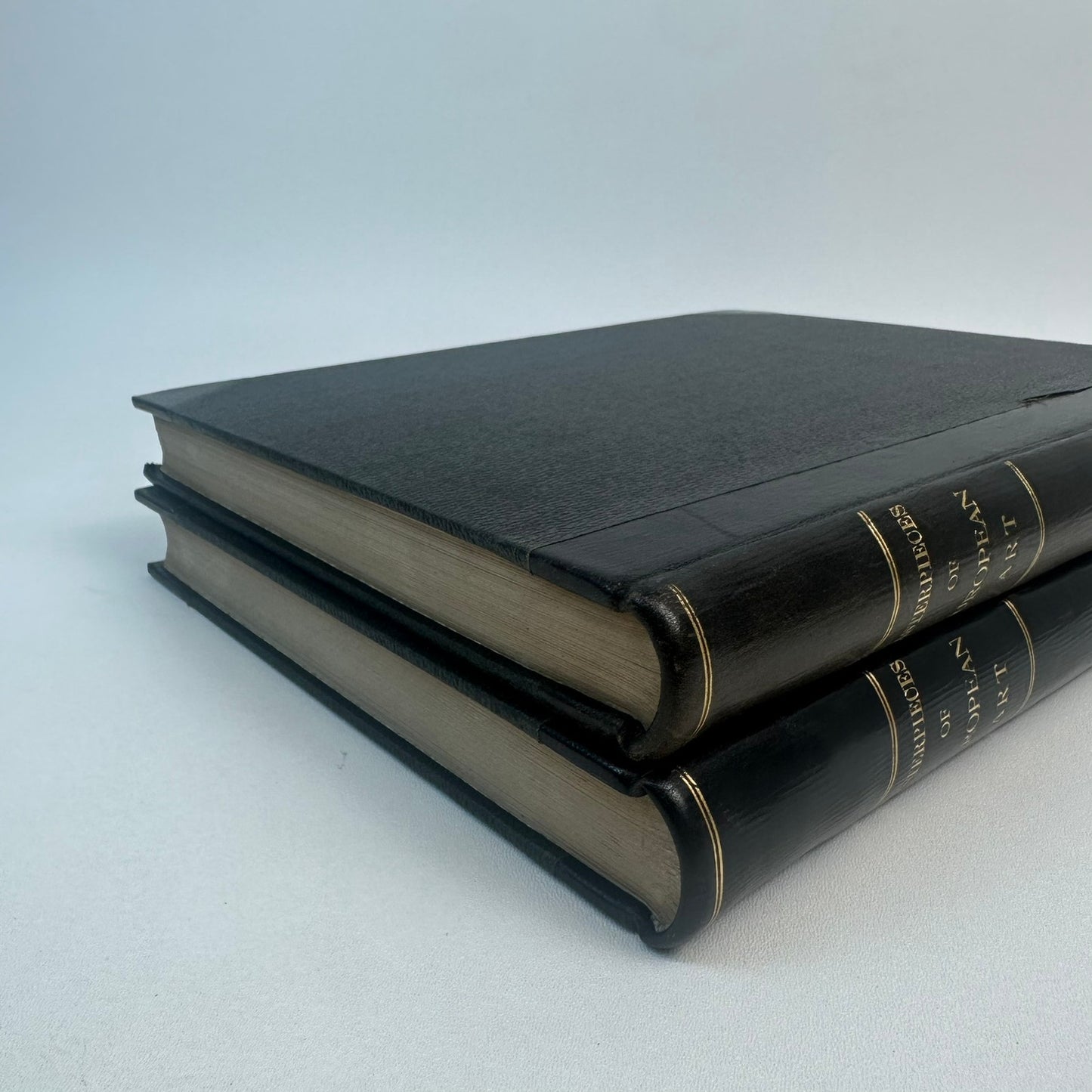 The Masterpieces of European Art Volumes 1 and 2 History Culture Painting