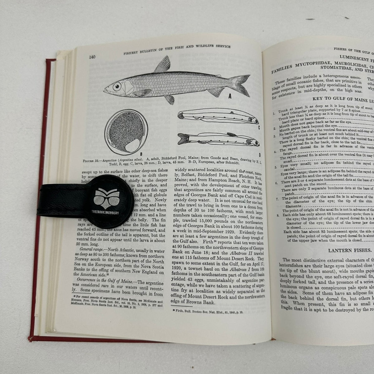 Fishes of the Gulf of Maine Bigelow Schroeder 1953 First Revision Ichthyology