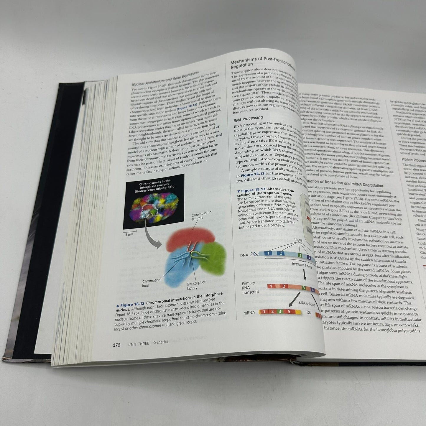 Campbell Biology Tenth Edition Textbook Student Learning Biological Sciences