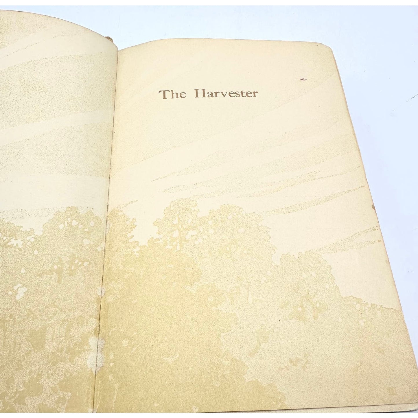 The Harvester by Gene Stratton Porter 1910s Embossed Cloth HC Illustrated Book