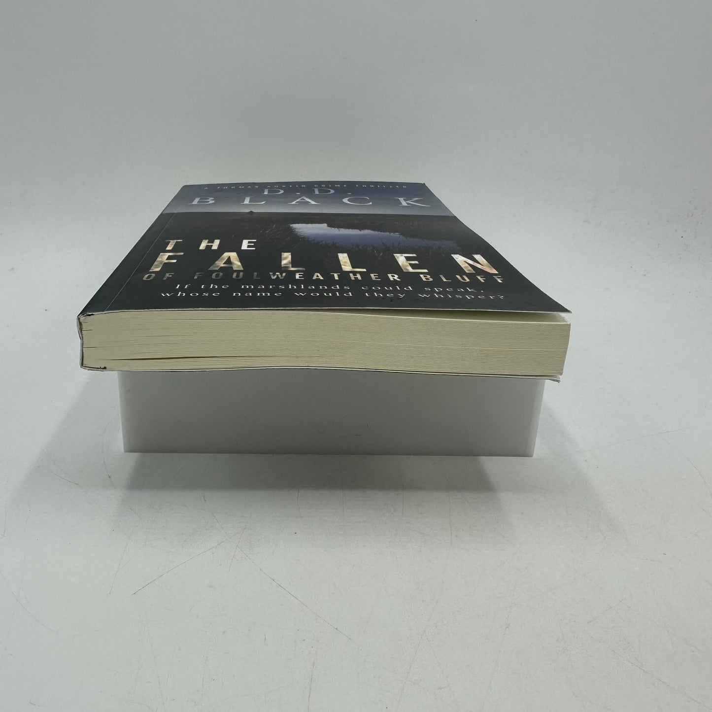 The Fallen of Foulweather Bluff Thomas Austin Crime Thriller by D D Black SIGNED