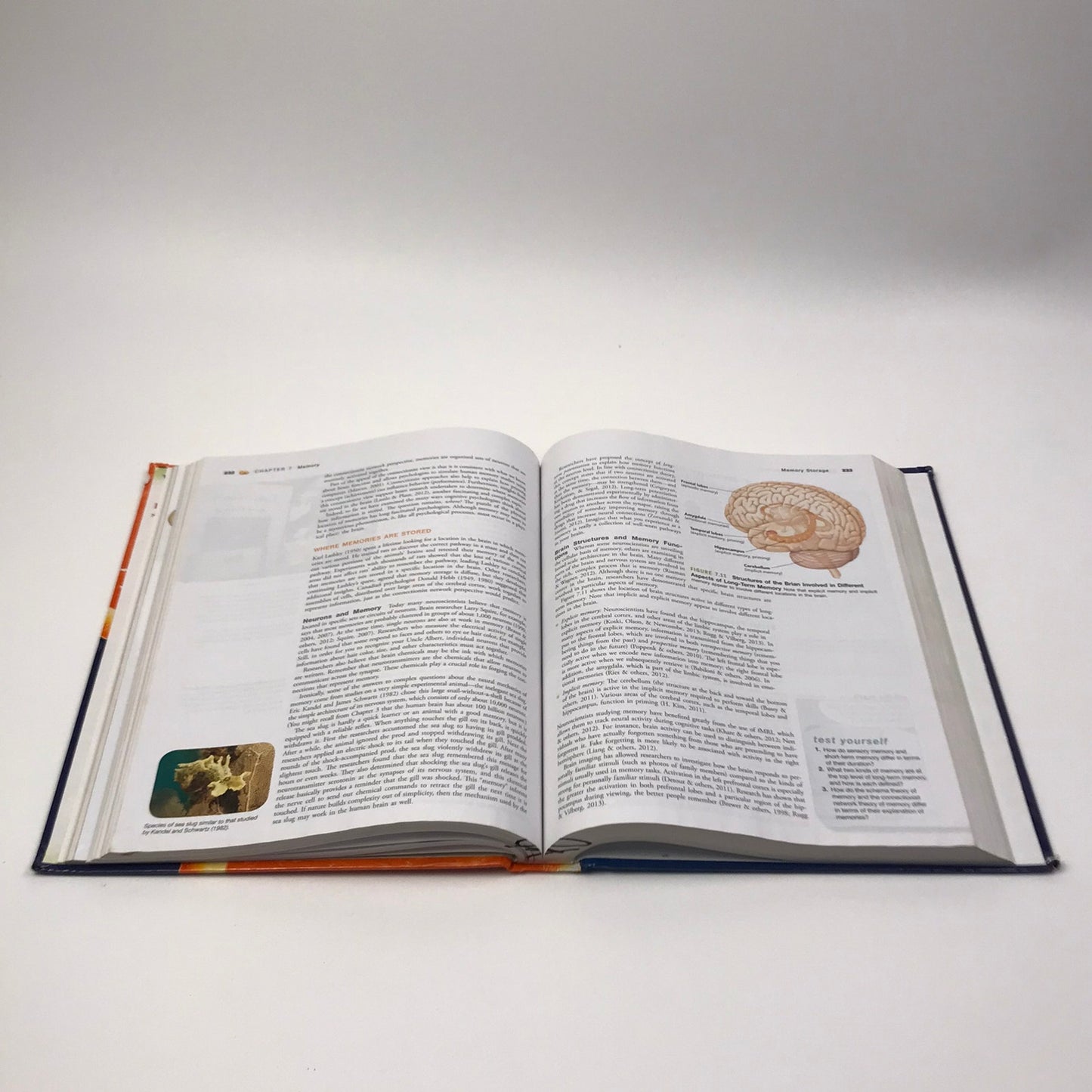 The Science of Psychology An Appreciative View Laura A King College Textbook