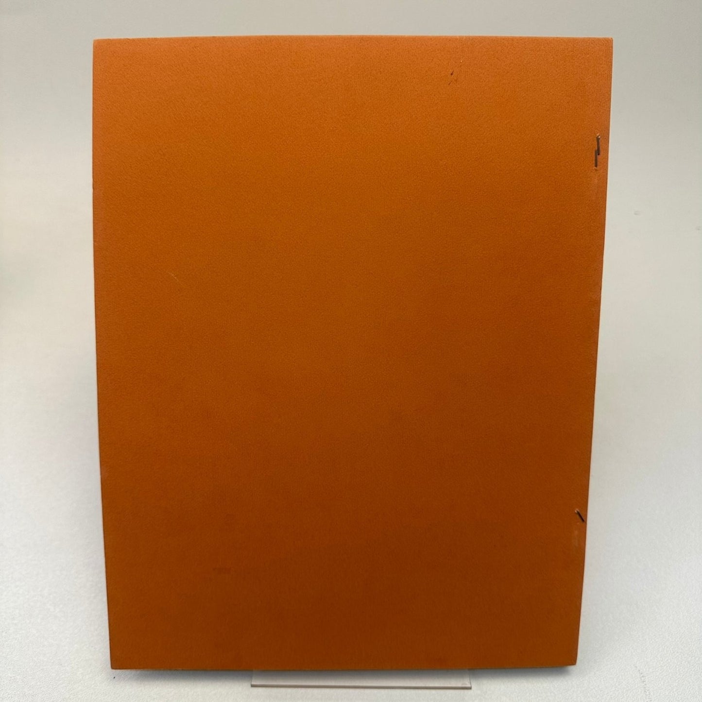 Selections from Amphibious Weather Sue Standing 1979 Poetry Working Paper SIGNED