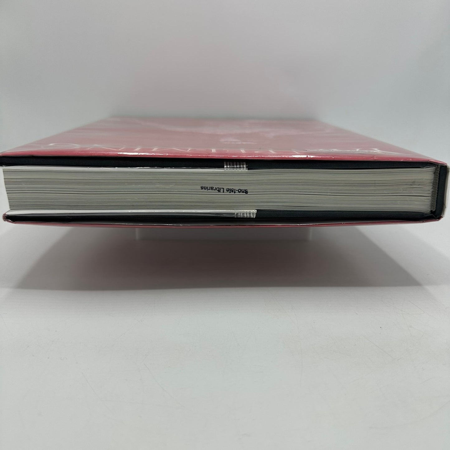 Yan Pei Ming Francesco Bonami Painting History Art Monograph Exhibition Catalog