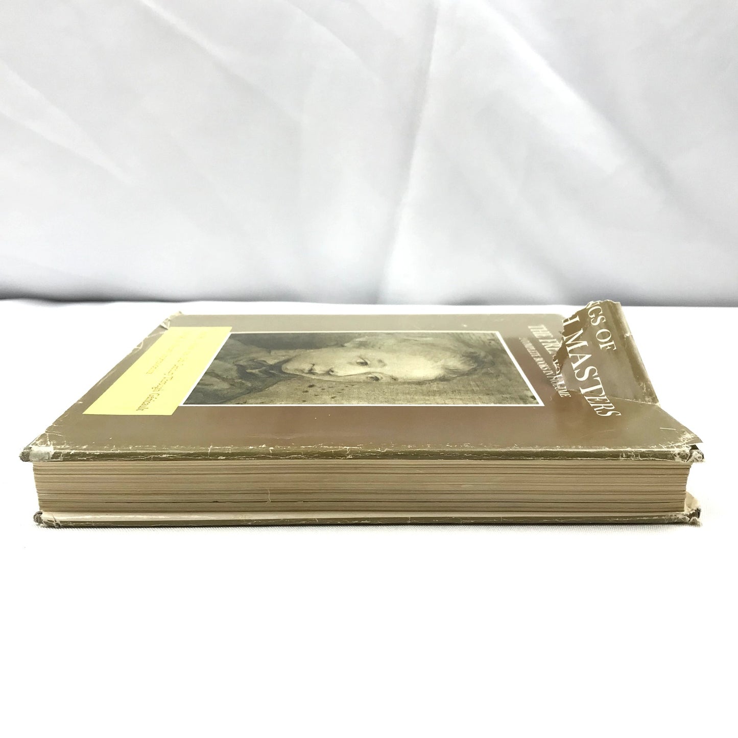 Drawings of The French Masters 2 Books in 1 Volume Art History Impressionism