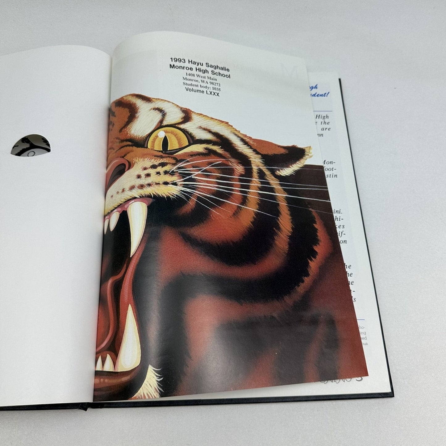 In The Eye of The Beholder 1993 Monroe High School Yearbook Hayu Saghalie