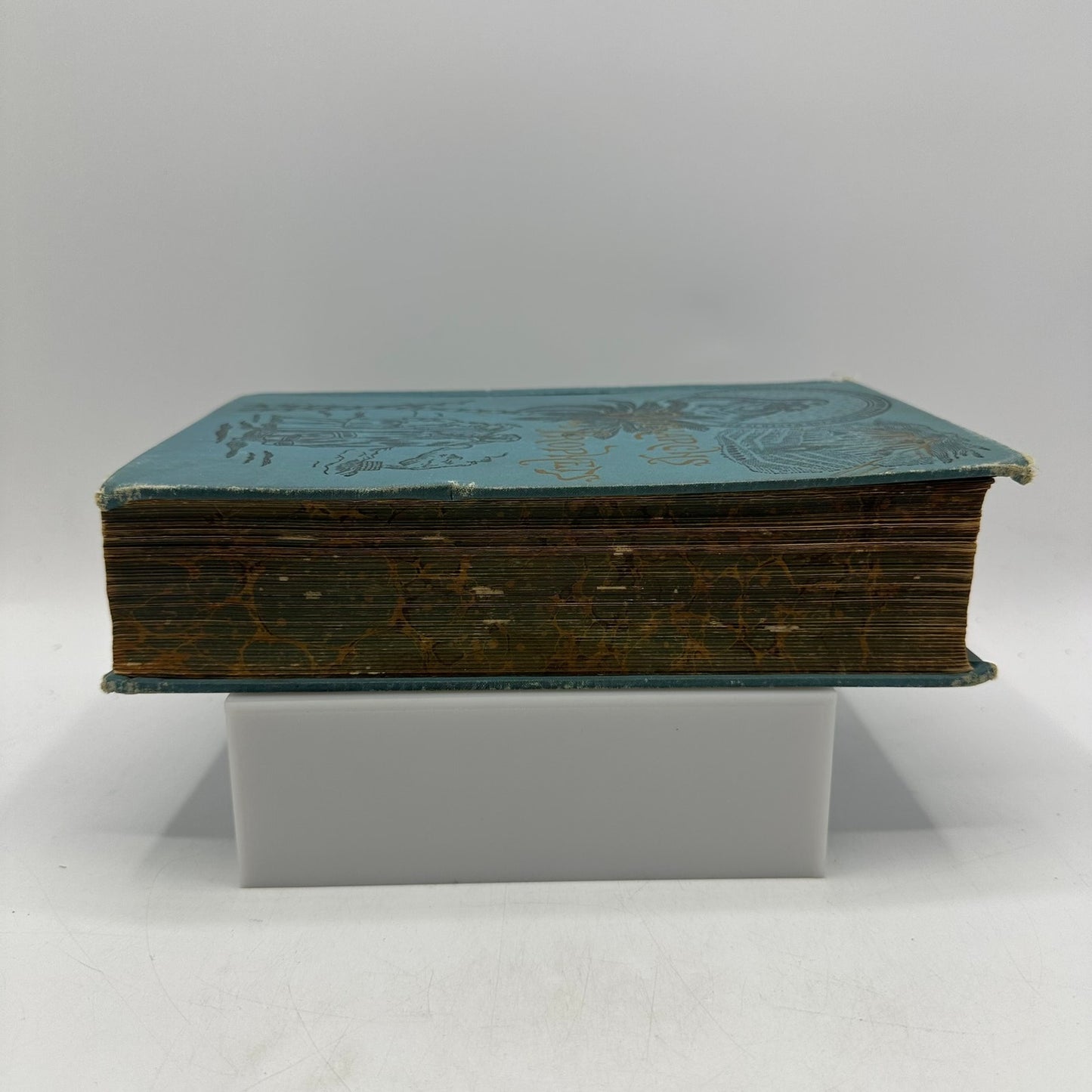 The Story of Patriarchs and Prophets Ellen G White History Religious Spiritual