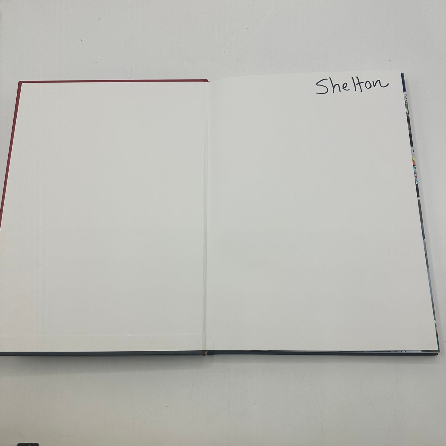 QSI International School of Shenzhen 2016-2017 PLE Preschool Elementary Yearbook