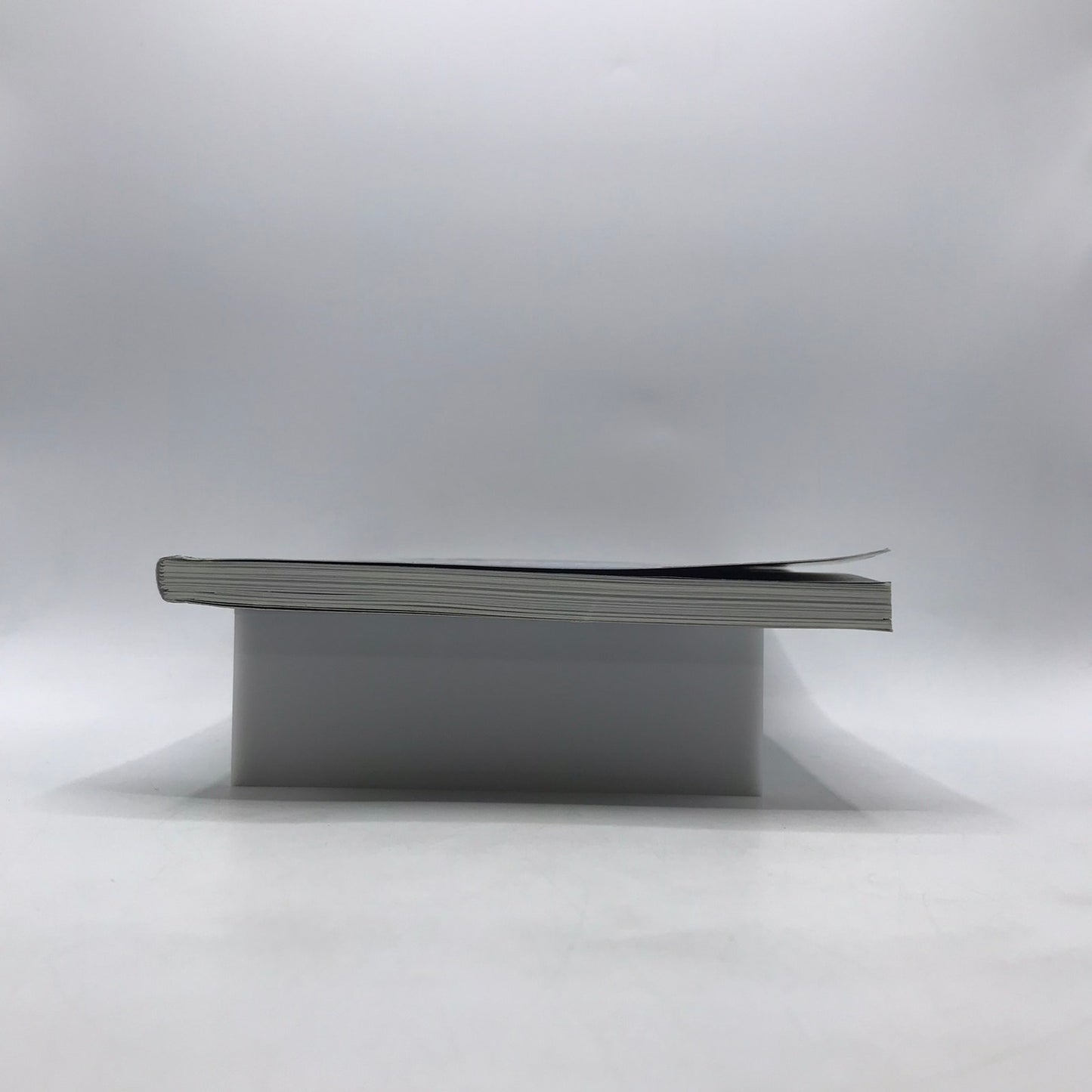 Public Journal 28 Satan Oscillate My Metallic Sonatas CD Enclosed Art Culture