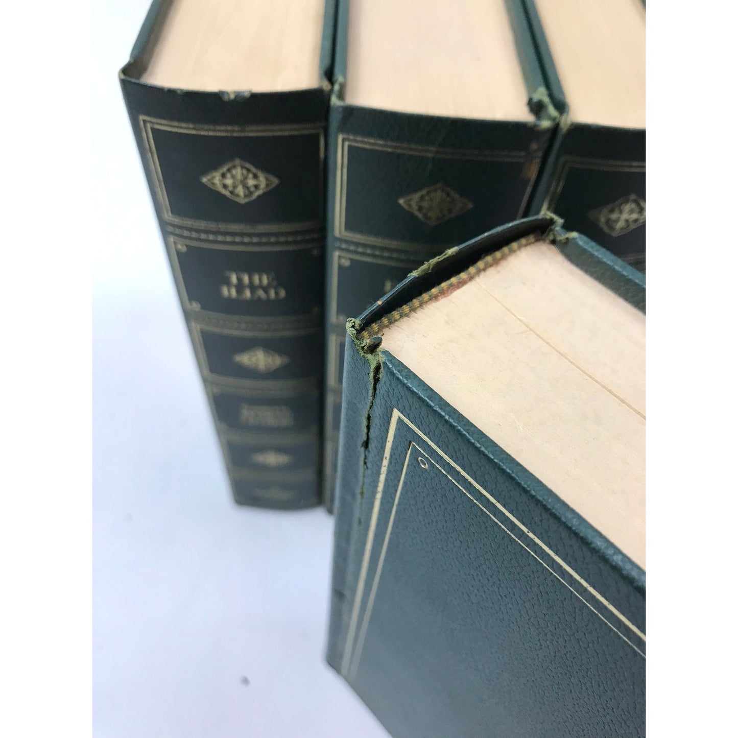 The Programmed Classics Set of 10 Educational Literature Poetry Plays and Essays
