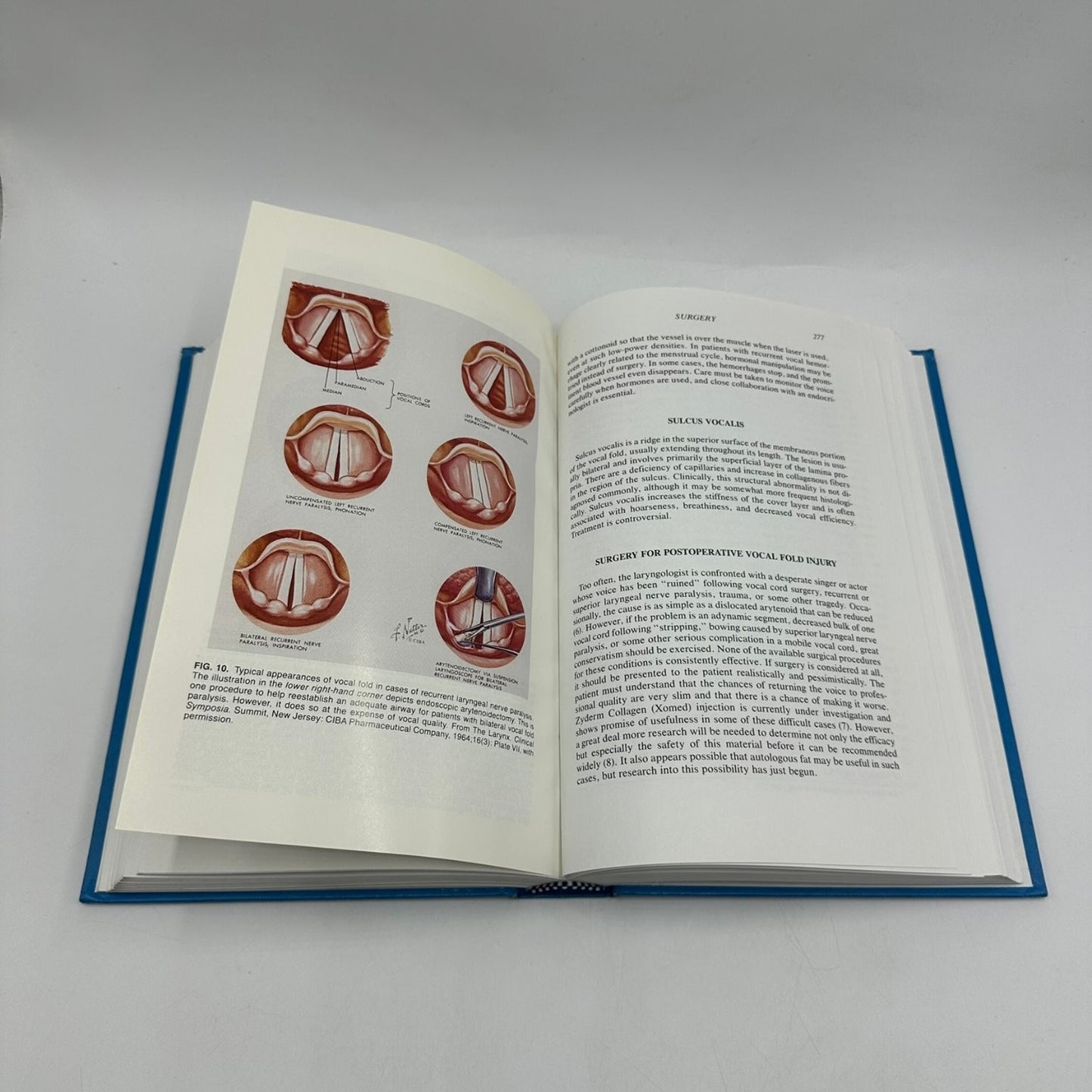 Professional Voice The Science and Art of Clinical Care Sataloff 1991 Raven