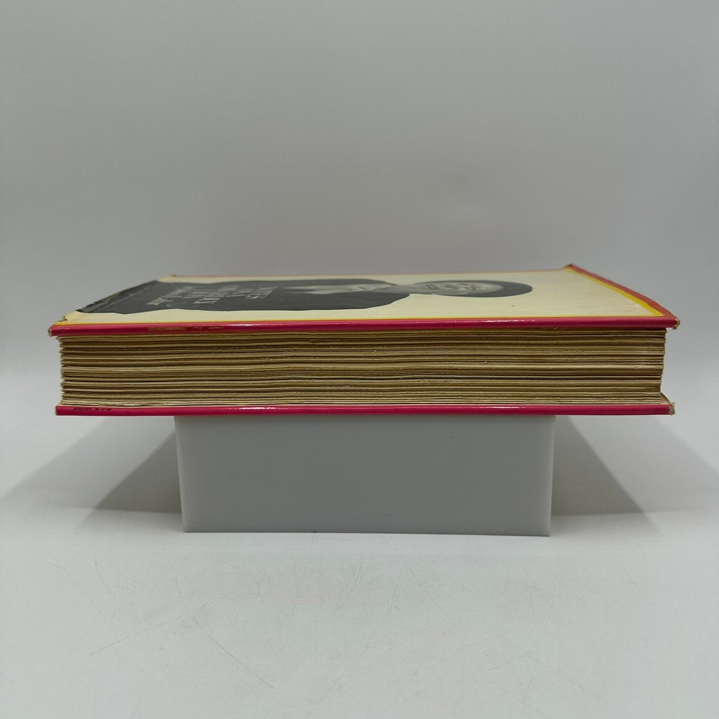 Notes on A Cowardly Lion John Lahr Wizard of Oz Bert Biography Show Business