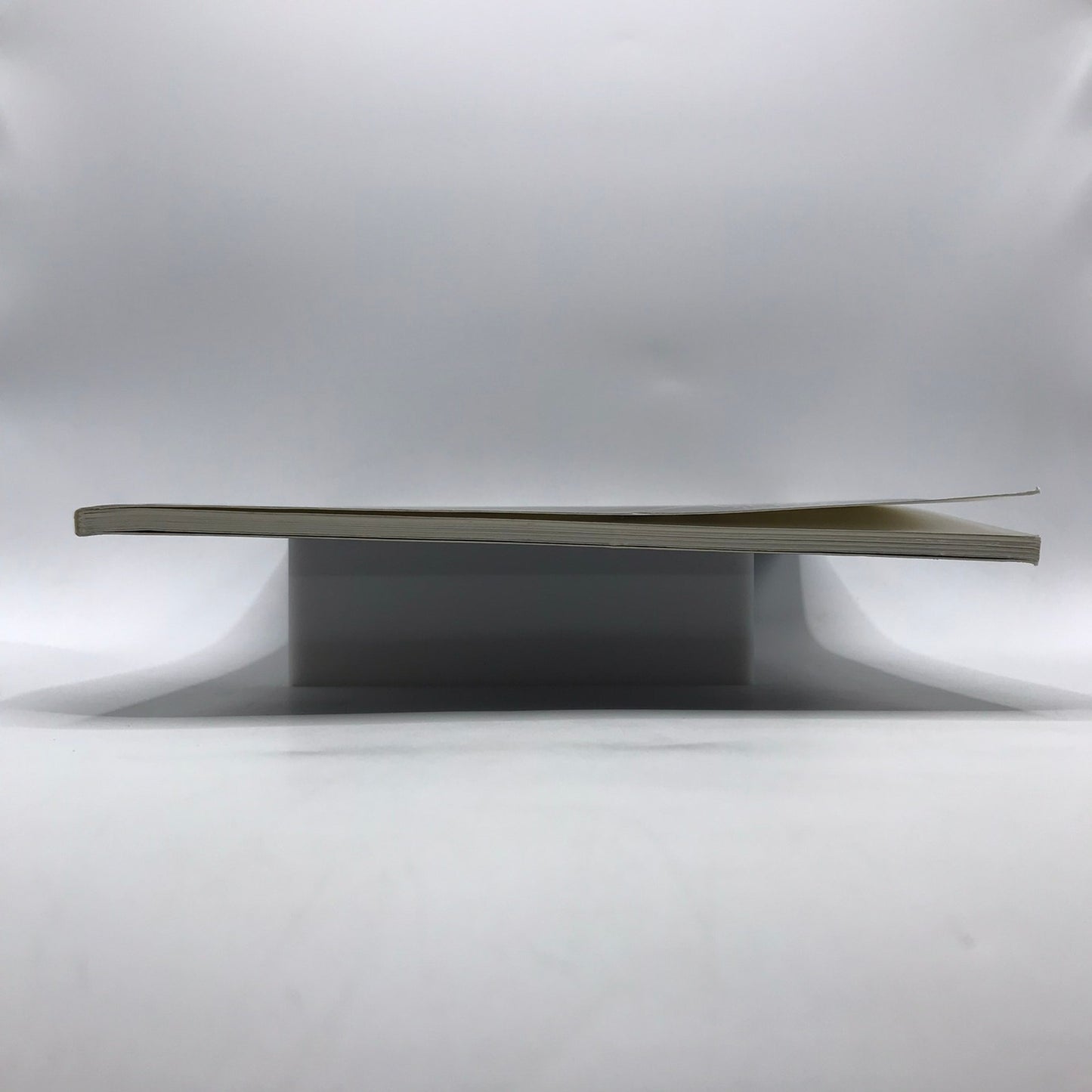 Richard Serra Torqued Spirals Toruses and Spheres Art Post Minimalist Sculpture