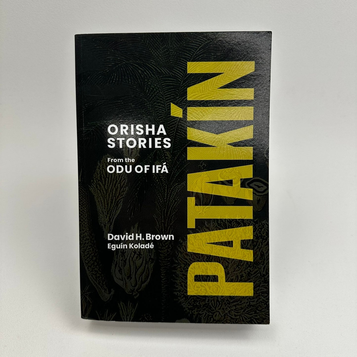 Patakin Orisha Stories from the Odu of Ifa David H Brown Cultural Anthropology