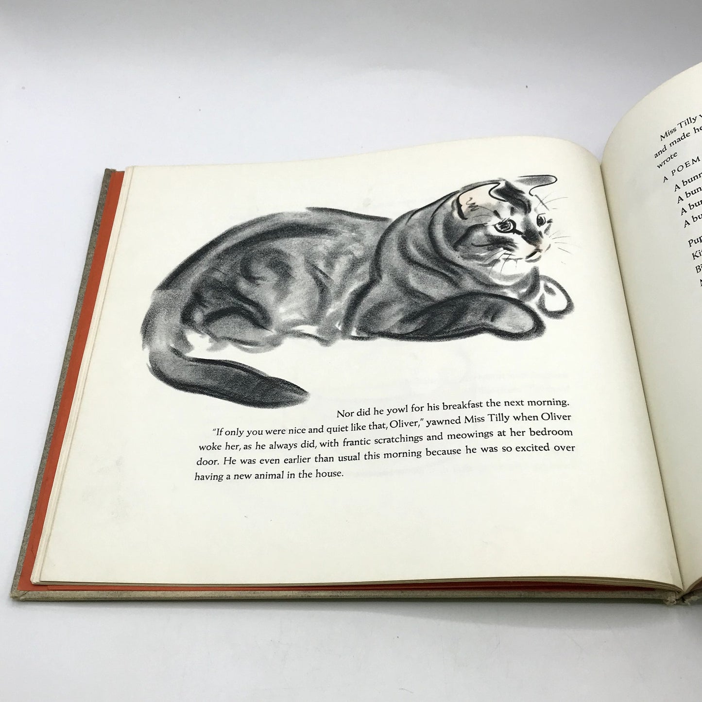 Marshmallow Rare Illustrated Hardcover by Clare Turlay Newberry 1942 1st Edition