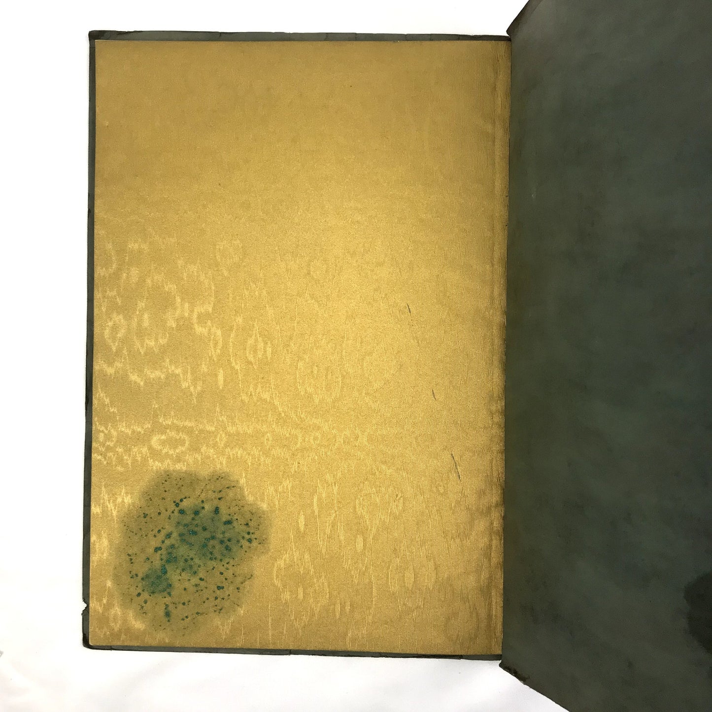 The Aurora 1923 Fairhaven High School Paperback Yearbook Bellingham, Washington