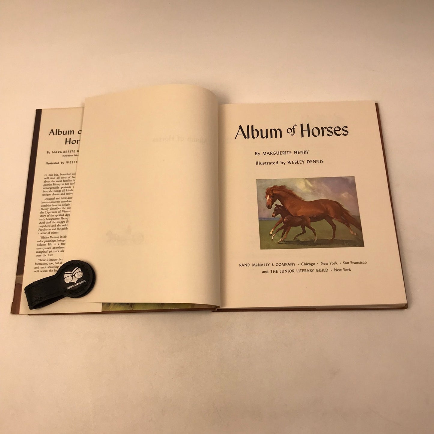 Album of Horses Marguerite Henry Childrens Animal Breeds Nature Classics History