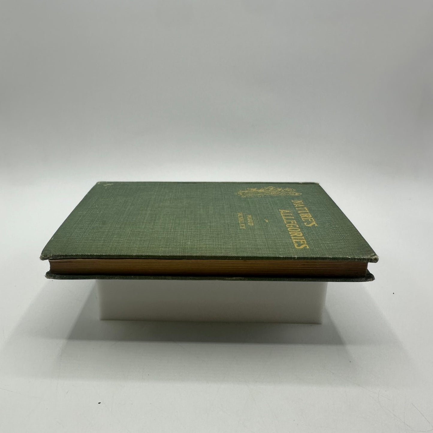 Natures Allegories and Poems Maud Dunkley Poetry Historical Literary Collection