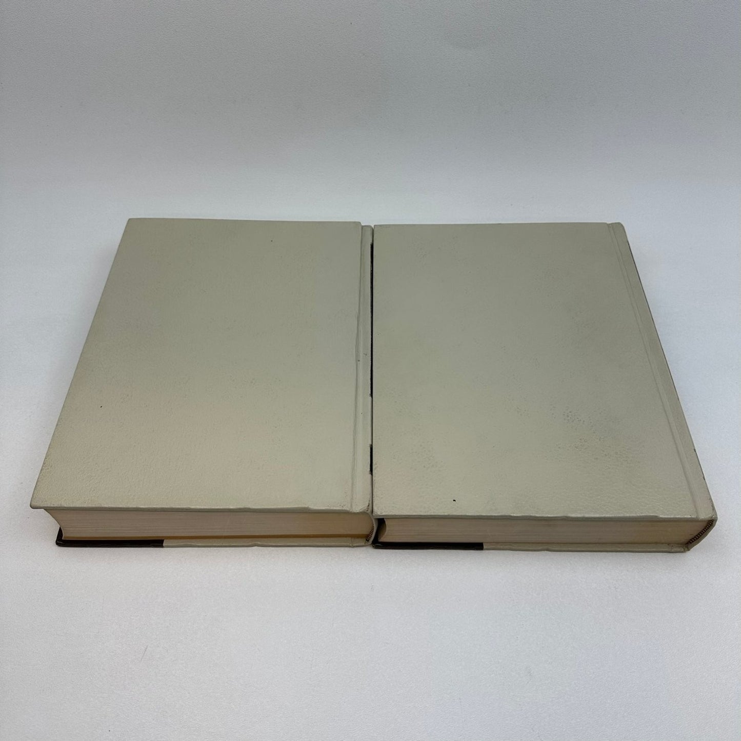 The World Book Dictionary Thorndike Barnhart 1976 2 Volume Set Reference