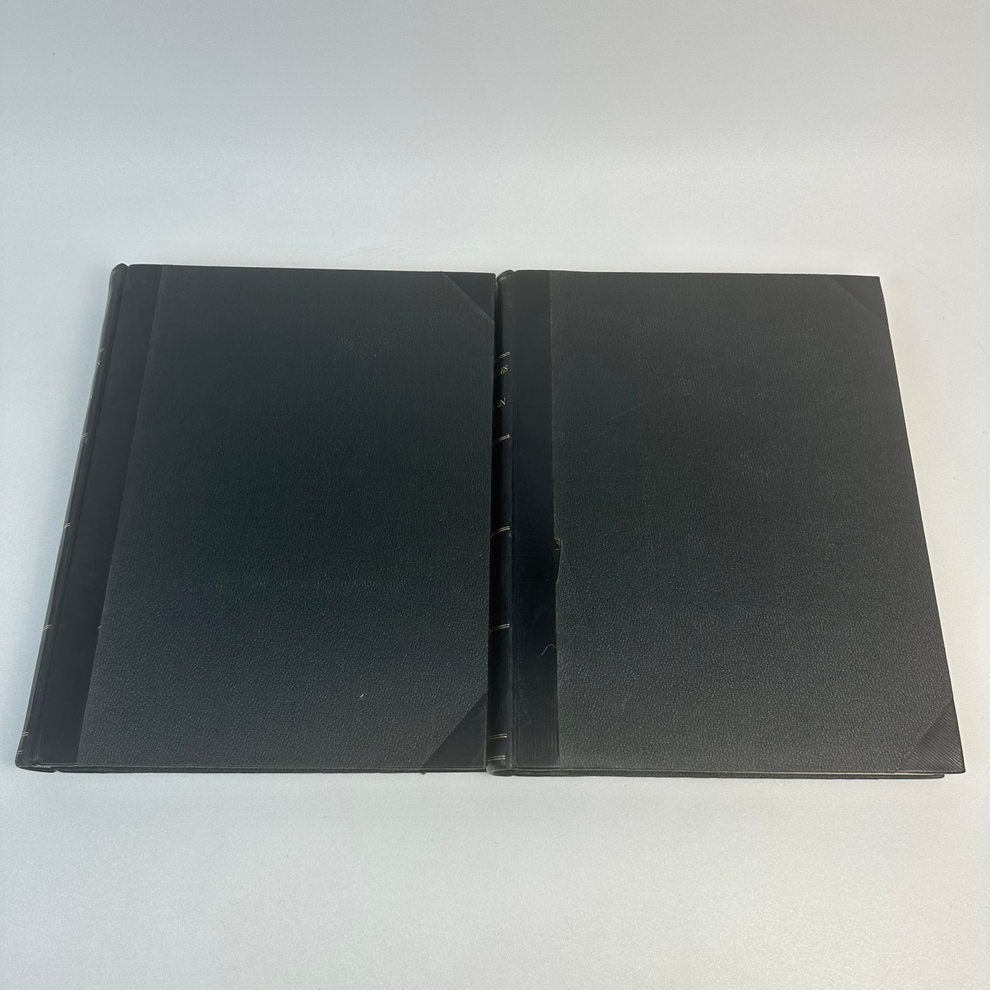 The Masterpieces of European Art Volumes 1 and 2 History Culture Painting