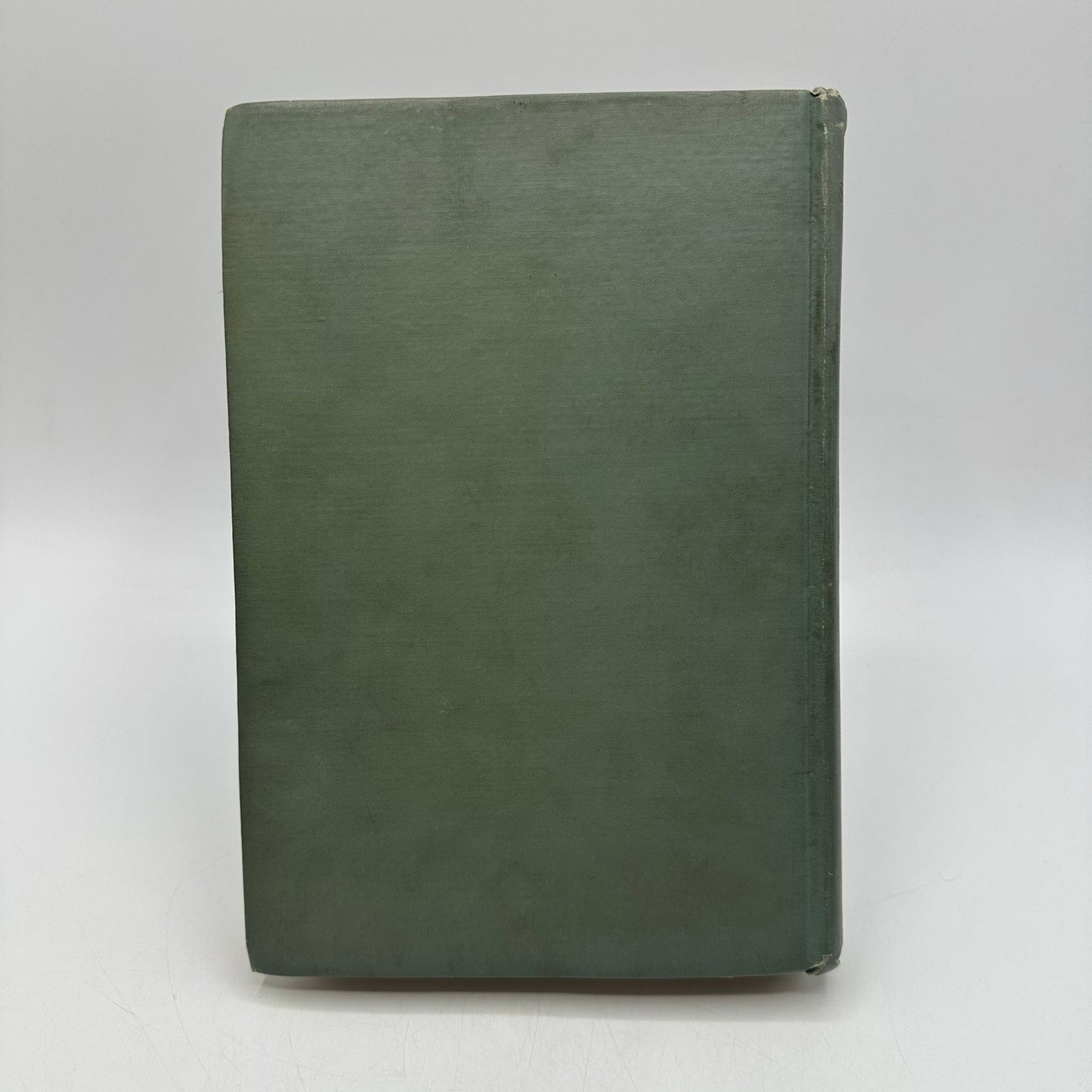 A Southern Girl in 61 D Giraud Wright Memoir Civil War Biography Confederate