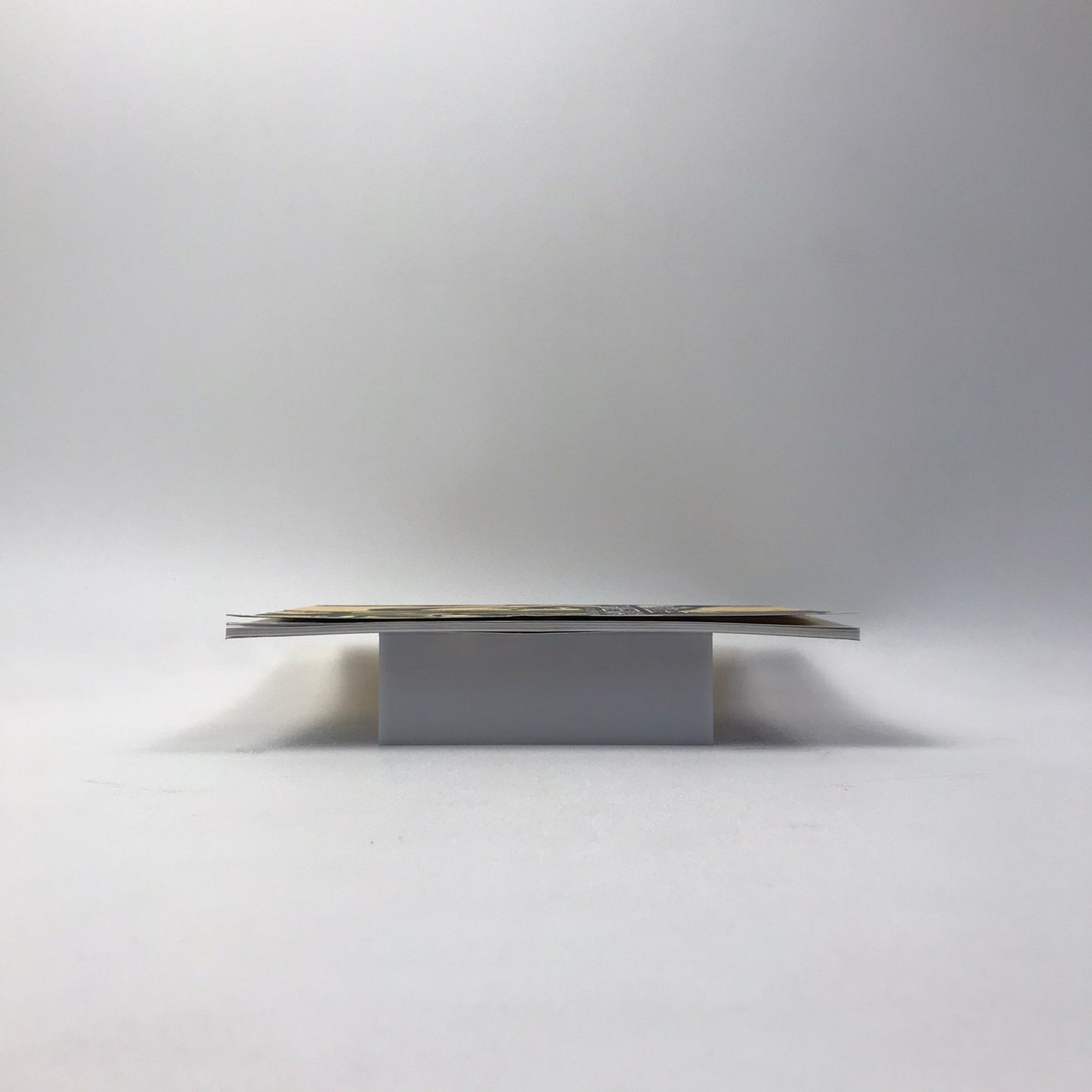 Carolee Schneemann Within and Beyond the Premises SIGNED Art Exhibition Catalog