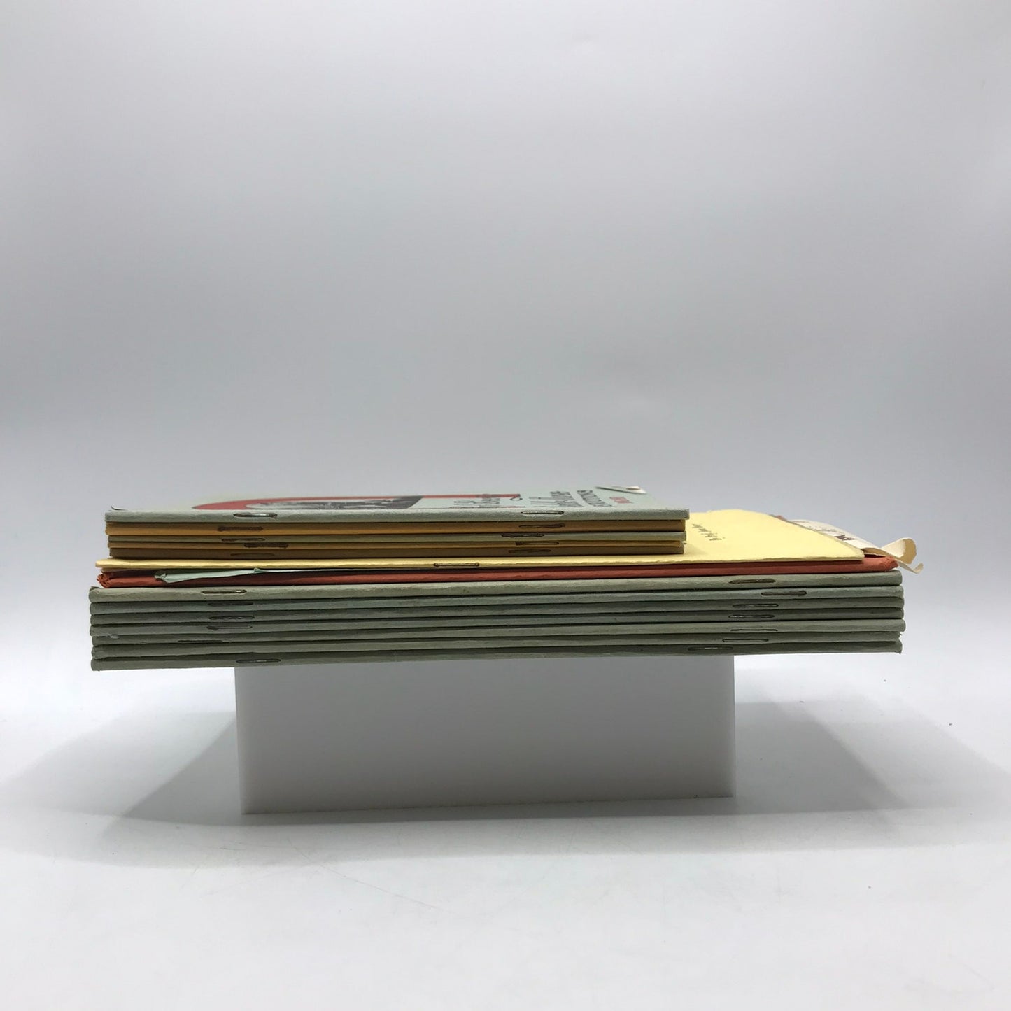 Prof Beerys Illustrated Course in Horse Training Saddle-Horse Instructions Lot