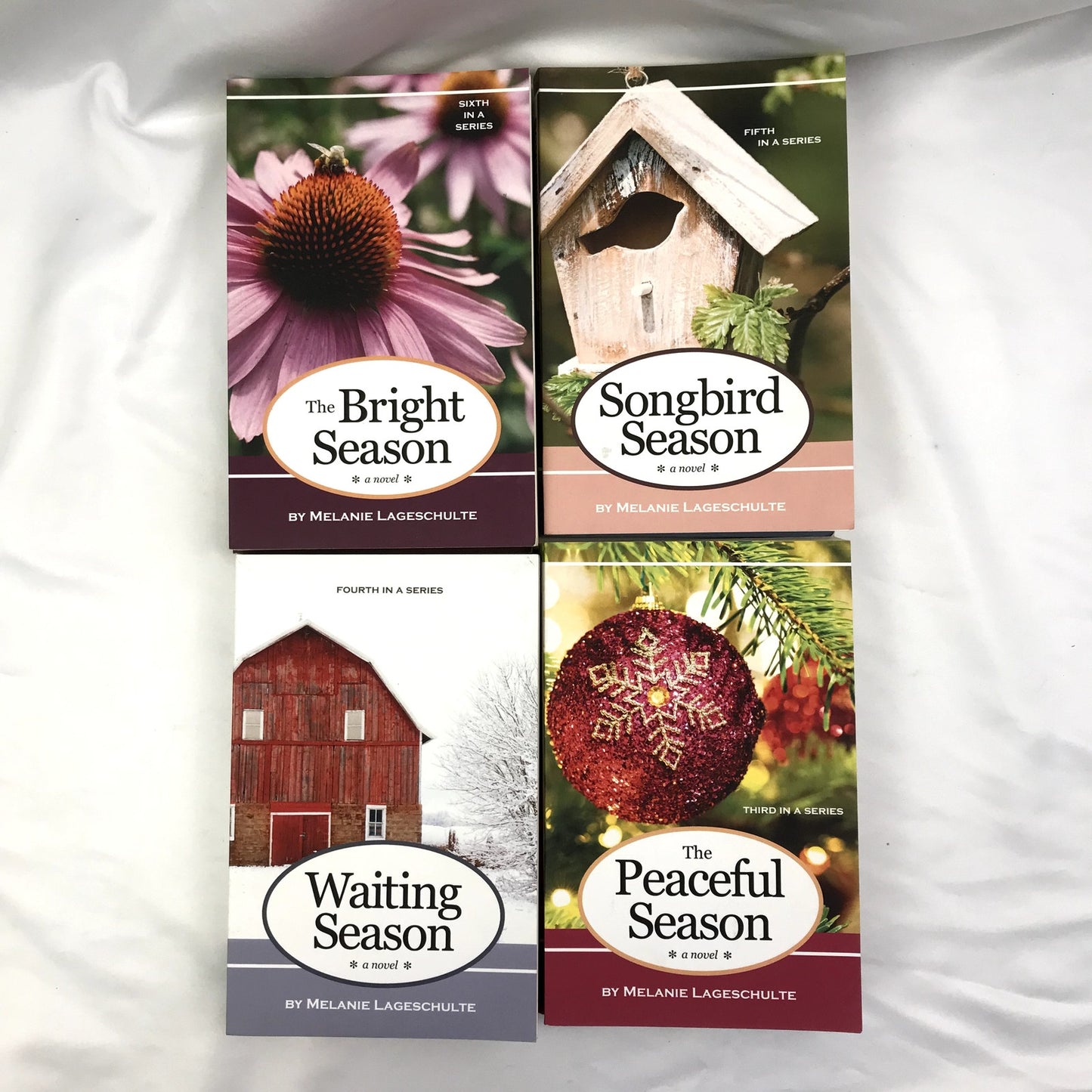 Melinda Foster Complete Series Melanie Lageschulte Paperback Cozy Mystery Novels