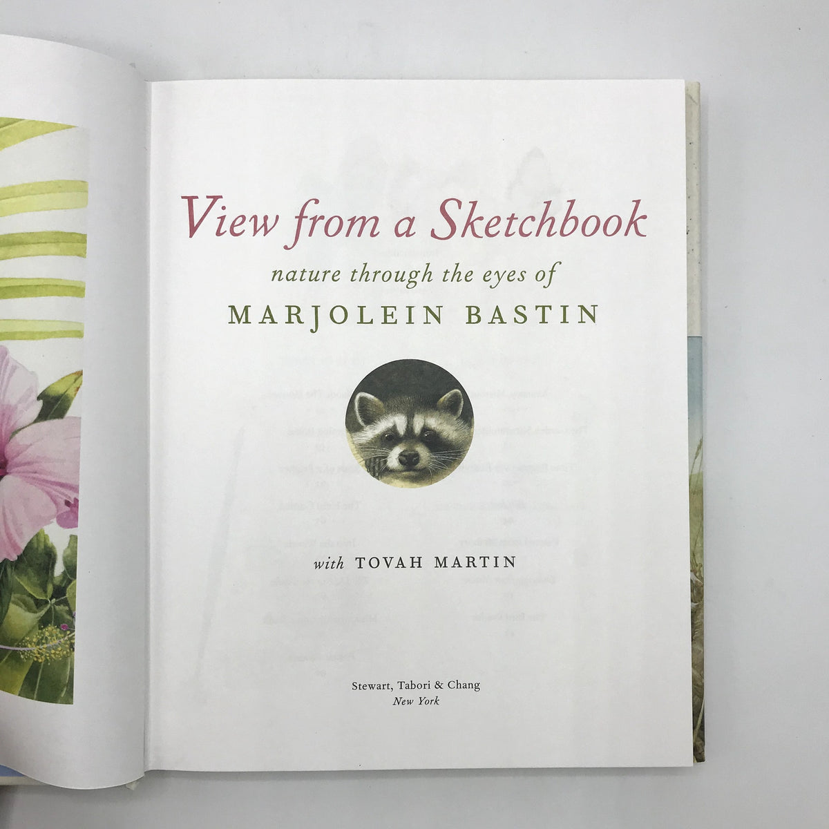 View from a Sketchbook Marjolein Basti First Printing Illustrated Hardcover 2004