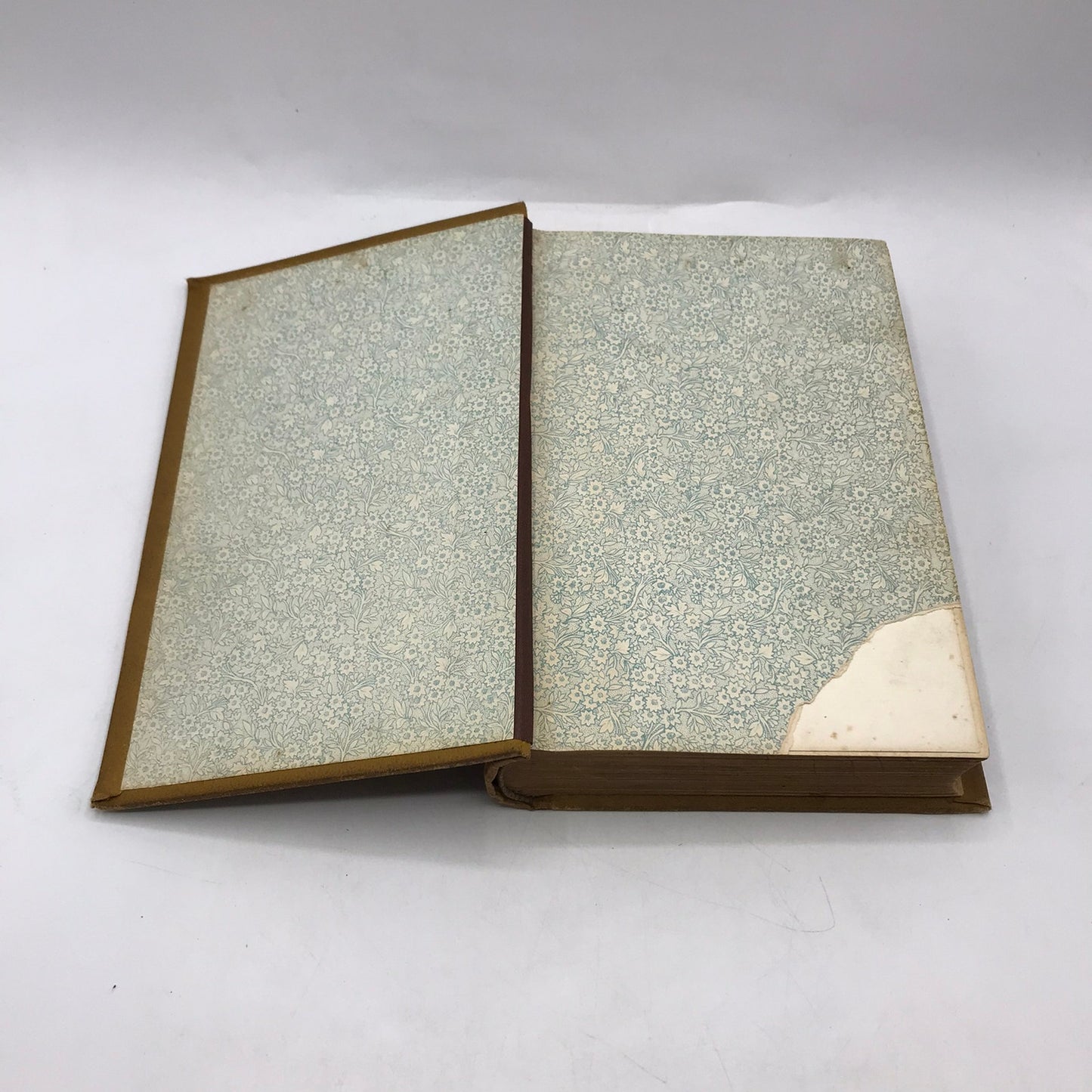 Daniels Book of Revelation Uriah Smith Danish Theology Religious Studies 1887