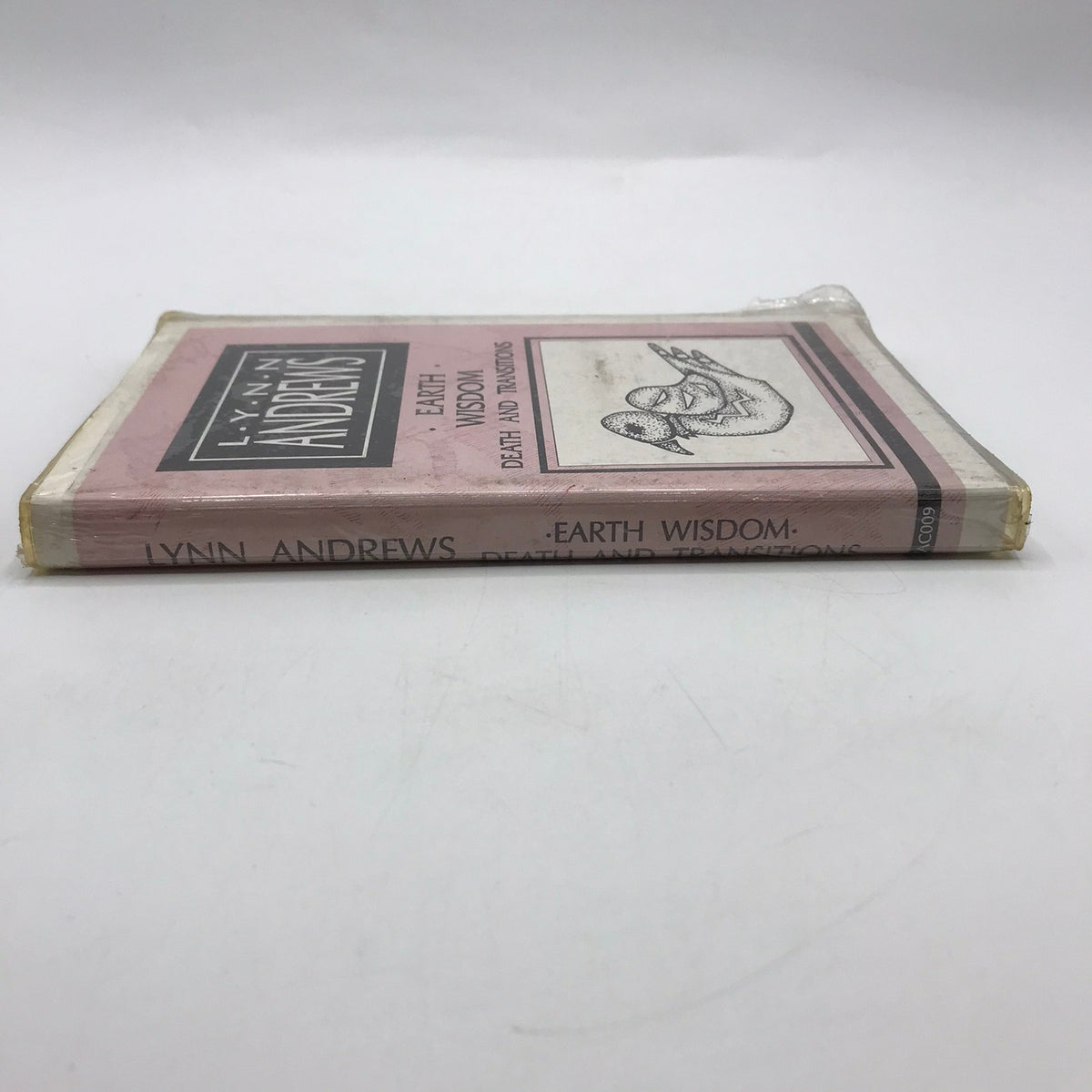 Earth Wisdom Death and Transitions Lynn Andrews Meditation Audio Cassette Sealed