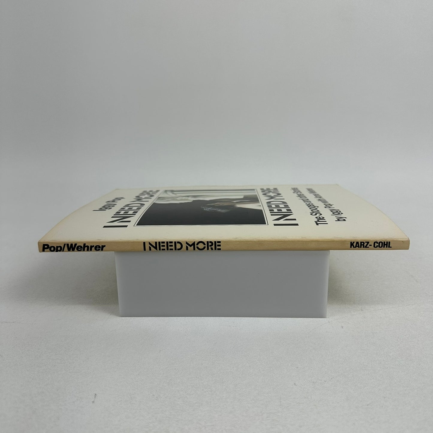 I Need More The Stooges and Other Stories Iggy Pop Anne Wehrer Biography Memoir