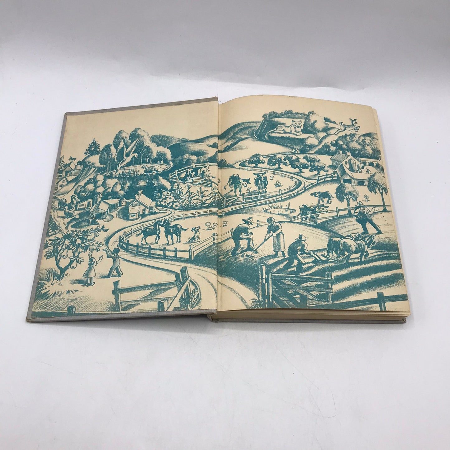 The Open Gate Kate Seredy Coming of Age Rural Life Juvenile Historical Adventure