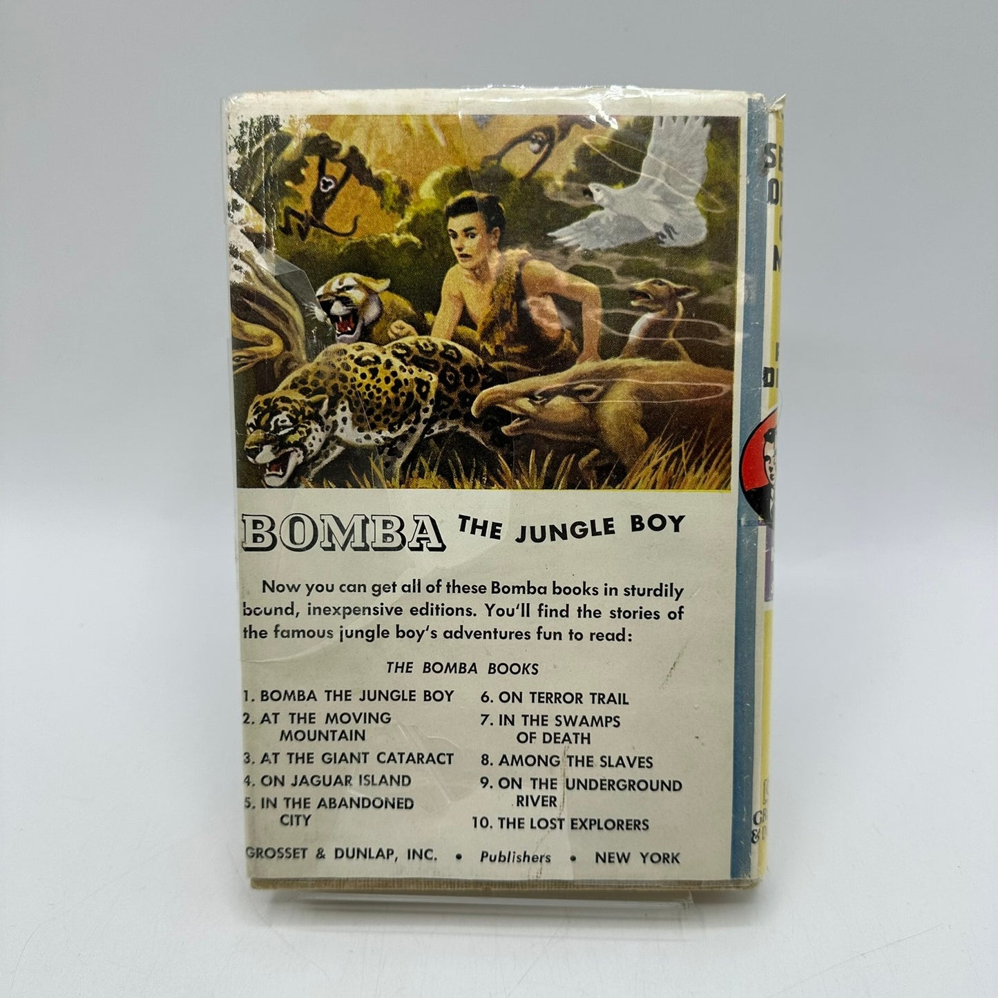 The Secret of The Old Mill Hardy Boys Franklin Dixon Mystery Adventure Novel