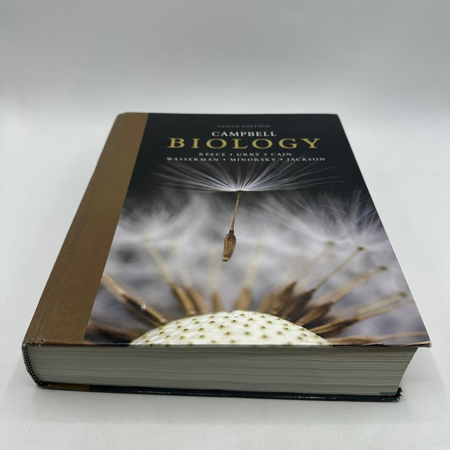 Campbell Biology Tenth Edition Textbook Student Learning Biological Sciences