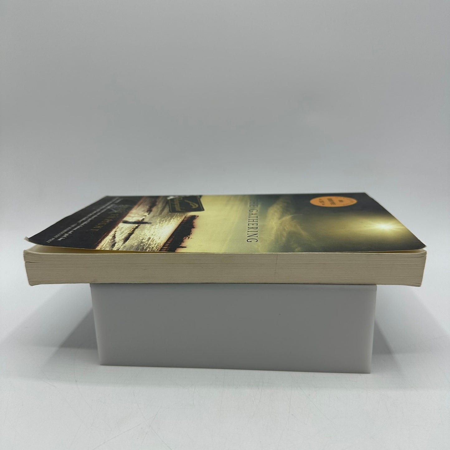 The Gathering Anne Enright SIGNED Irish Literature Contemporary Domestic Fiction