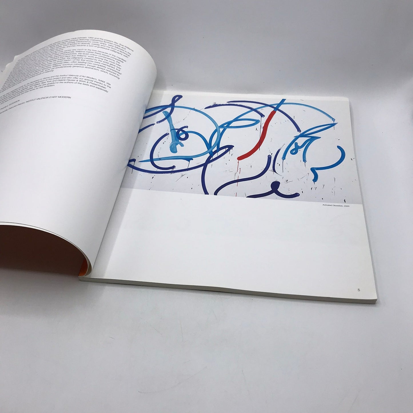 Secession IVAM Sue Williams Art For Institution and Home Catalog Regen Project