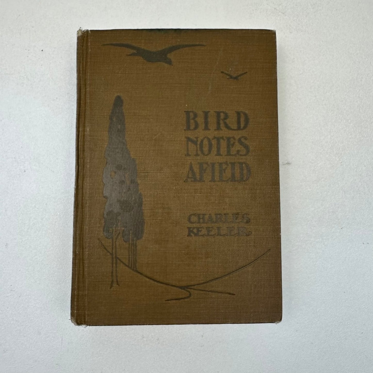 Bird Notes Afield Charles Keeler 1907 2nd Ed Revised Illustrated Ornithology
