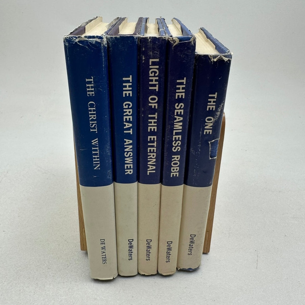 Lillian DeWaters 5 Book Set Christ Within Seamless Robe The One Ontology