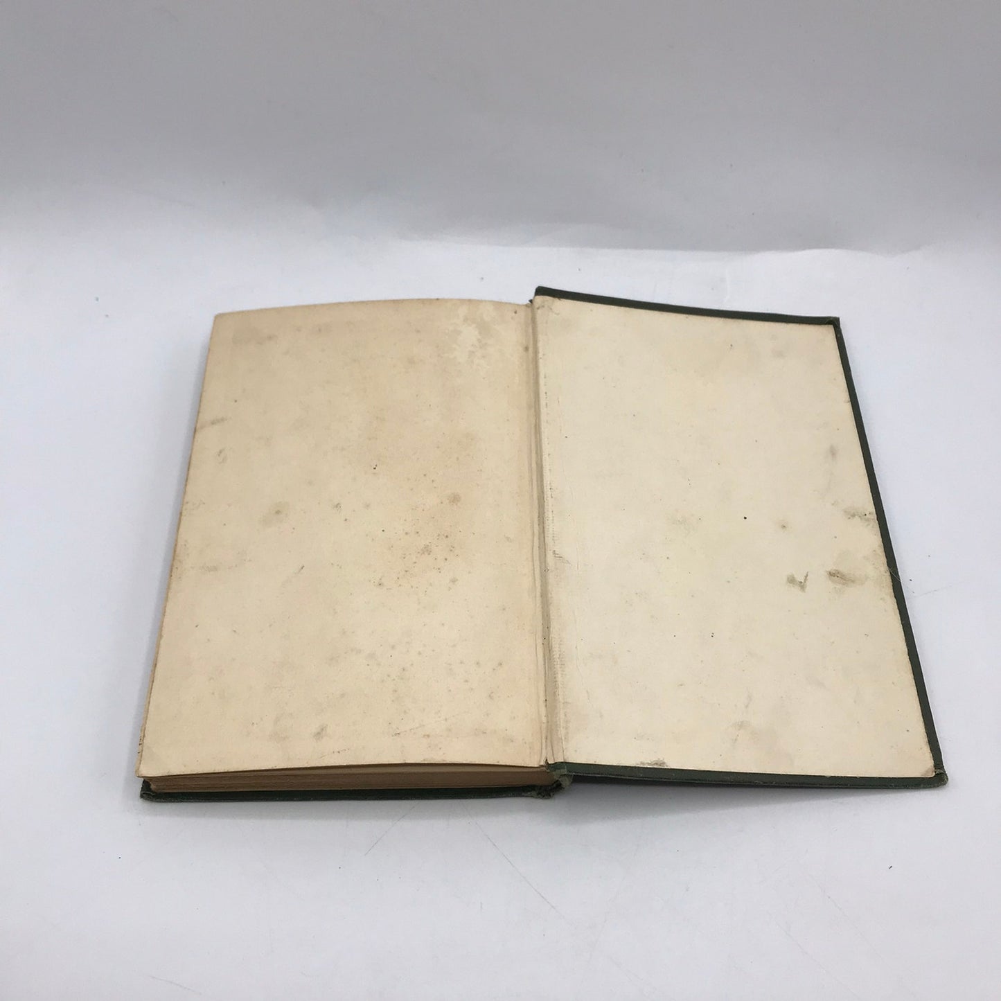 Market Gardening and Farm Notes Burnet Landreth Experiences Field Observations