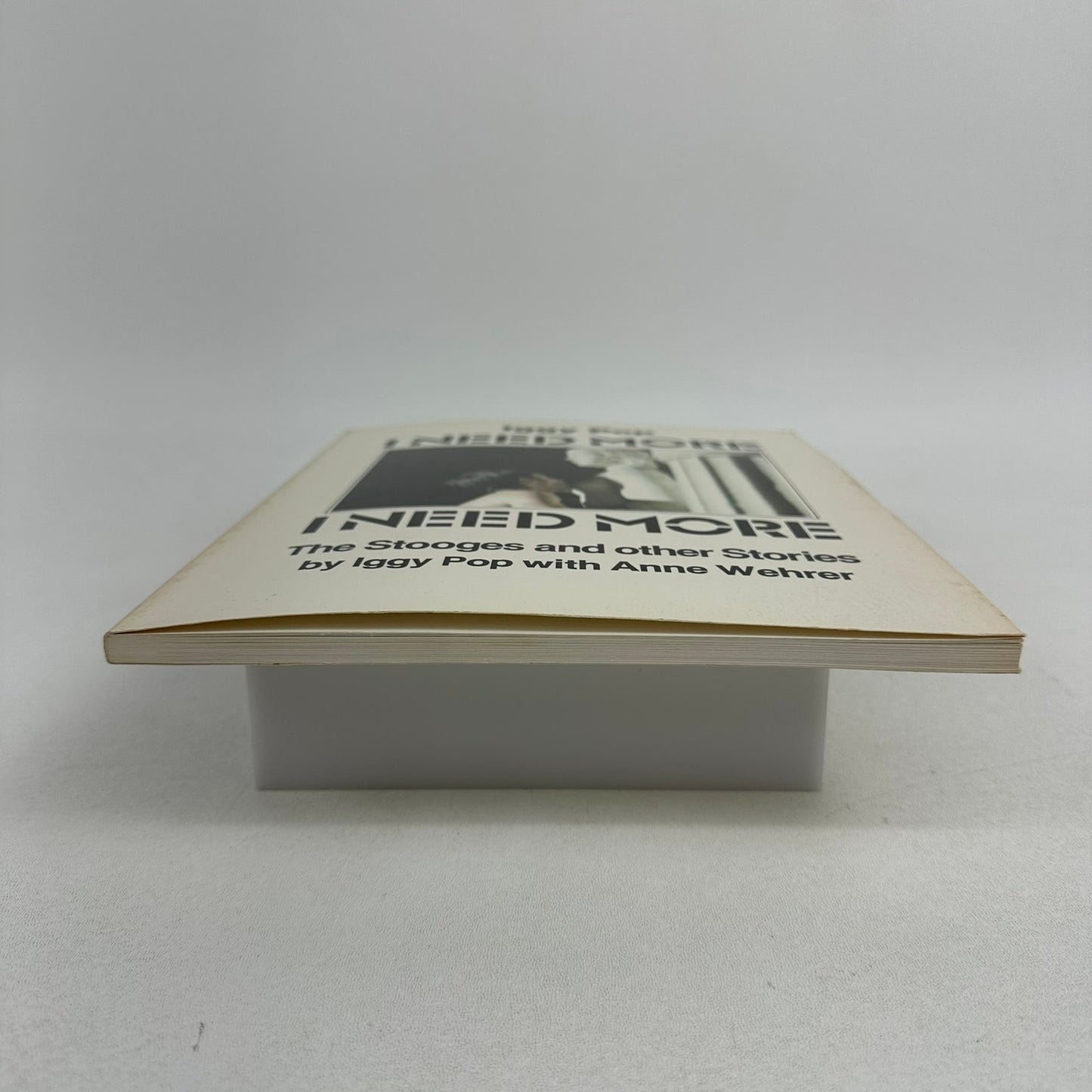 I Need More The Stooges and Other Stories Iggy Pop Anne Wehrer Biography Memoir