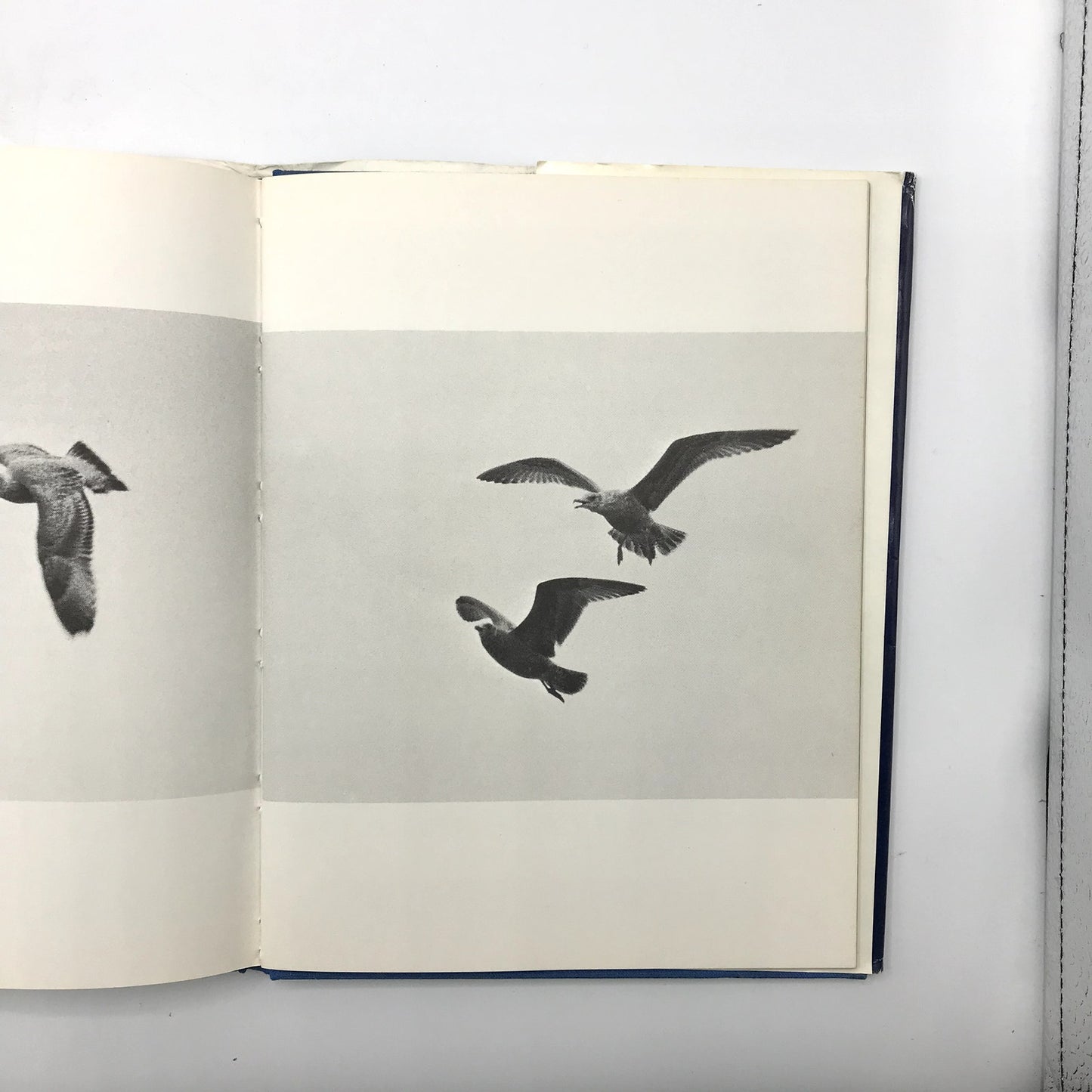 Jonathan Livingston Seagull Illustrated Hardcover Novel by Richard Bach 1970