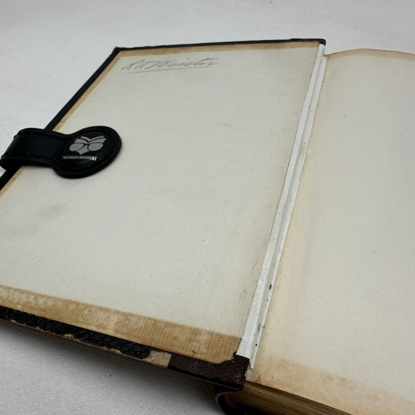 The Beautiful Life of Frances E. Willard Anna A. Gordon 1898 Biography W.T.P.A.